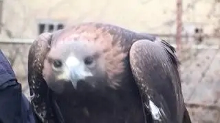 Обучение БЕРКУТА!