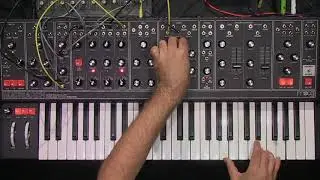 Moog Matriarch Dark: ambient jam from our first MASTER CLASS / MOOG