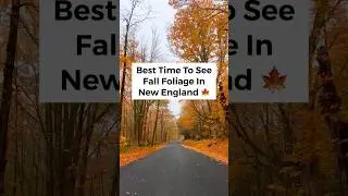 📍New England Fall Foliage! 🍂🍁 #newengland #fall #fallfoliage #autumn #travel #travel  #traveltips