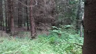 Соседи.