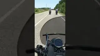 едем в ЗАГС!