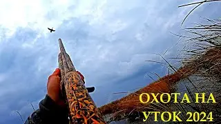 ПЕРЕЛЁТНАЯ УТКА!!! ОХОТА НА УТКУ В НОЯБРЕ 2024  / MAX HUNTER