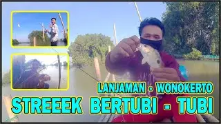 MANCING DI SINI.... | STREEEK BERTUBI TUBI...