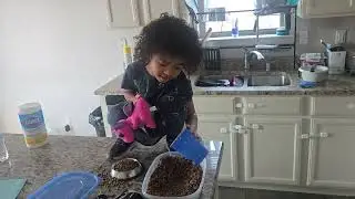 Feed the cat 6 /2/2026