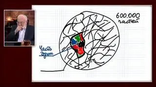 Путь души. Душа как нематериальное начало жизни. Вебинар