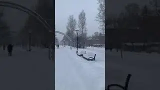 Снегопад на Алтае