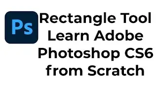 Rectangle Tool  Learn Adobe Photoshop CS6 from Scratch