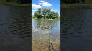 Рыбалка в Семяновке на озере