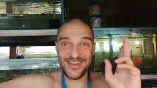 Склеил новый Аквариум, но разбил Телефон!!!