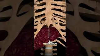 Как избавиться от целлюлита?
