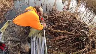 Dream trapping trip, day 1!
