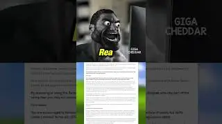 Terms and Conditions
