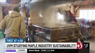 UVM study to measure sustainability of maple industry