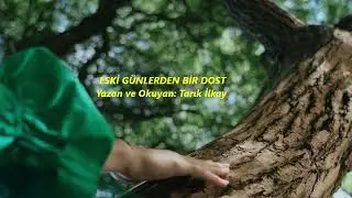 TARIK İLKAY  - ESKİ GÜNLERDEN BİR DOST #viralvideo #edebiyat #şiir