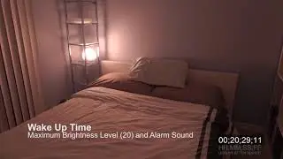 Deaf Alarm Clock - Wake up Light Alarm Clock