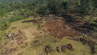 The phallic megaliths of Ethiopia