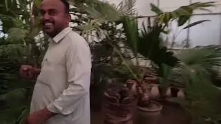 Interview of Mr. Abdul Qadir Baloch Director Horticulture and Botany University of Balochistan