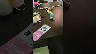 Обзор игрушек для курильских бобтейлов и намного про уход за шерстью.