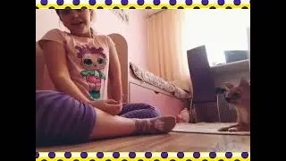 💋💞даю команды своей собаки ( чек)❤️