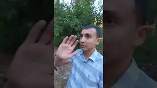 ЗОНА ОТДЫХА ЧАДАК