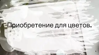Открытки. Покупка для цветов. Качество печати бумаги.