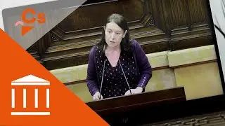Marina Bravo. Intervención parlamentaria