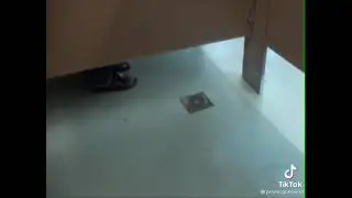 Ahhhhhhh Poooop