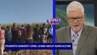 Cambria Heights students harvest corn; learn about agriculture | WTAJ
