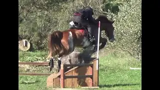 Cours de cross 11/11/22 Elodie & Clif