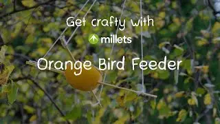 Get Crafty with Millets | How to Make an Orange Bird Feeder