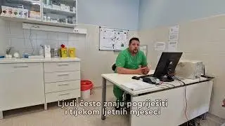 Trebamo li ljubimce šišati tijekom ljeta? 🐾