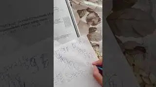 Hədəf Dqt Natural ədədlər test 1 A variant