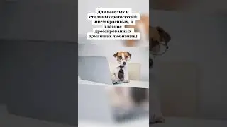 Ищу красивых, а главное дрессированых животных для фотосессий на условиях ТФП в Алматы.