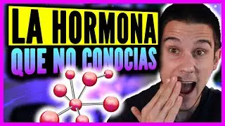 Discover the GLP-1 Hormone⚡ More SATIETY, More FAT LOSS 🔥They Haven't Told You Before!🤯