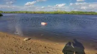 Скат Большой . Видео от заказчика .