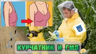 Лишний вес, половые признаки, растения, люди и ГМО