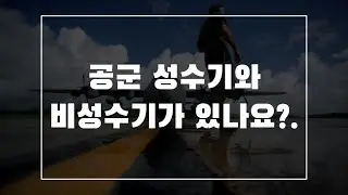 [간단정리]공군 성수기와 비성수기가 있나요? / 공군 입대 길라잡이 시리즈