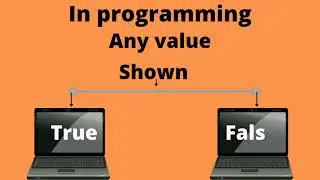 What is boolean data type | use in programming language
