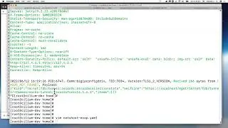 eCapture in netshoot pod to capture another pod TLS/SSL clear text