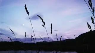 🏴󠁧󠁢󠁷󠁬󠁳󠁿 Twilight On The River Conwy...