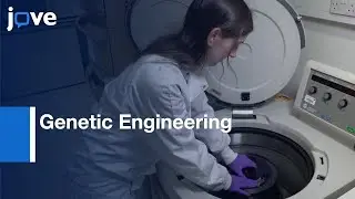 Genetic Engineering of Cells Based on Selection and Growth on Bacteria | Protocol Preview