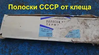 Found strips from a tick from the times of the USSR, I test it in an apiary