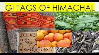 GI TAGS OF HIMACHAL PRADESH II HPPSC II HPSSC II GK HIMACHAL