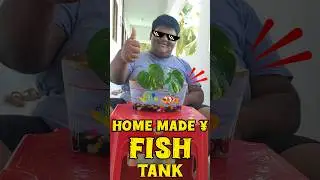 My Own Fish Tank Update 🥰🤩