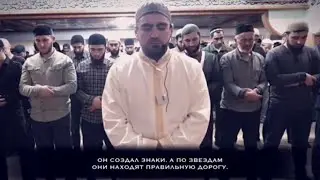 Сиратуллах Раупов | Сура «Нахль» [1-113]