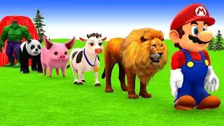 Long Slide Game With Cow Elephant Gorilla Hippopotamus Tiger 3d Animal Game Funny 3d Animals