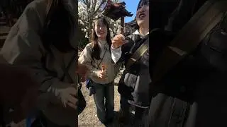 Beautiful Japanese Girls Street Photography in Japan 