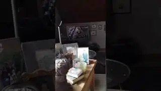 Prinsjesdag
