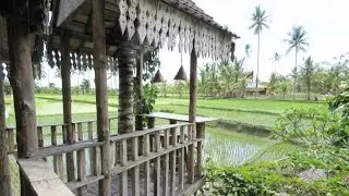 Ubuds Ricepaddys, Bali, Februar 2017