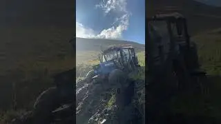 New Holland Застрял в болоте
